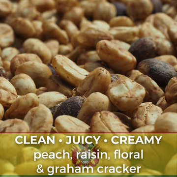 Bolivia Irupana Grober Mamani Honey Organic